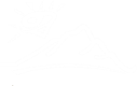 Diamond Hill Resort Logo